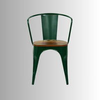 Dany Metal Powder Coated Chair (Dark Green)