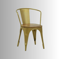 Dany Metal Powder Coated Chair (Gold)